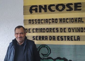 ANCOSE teme pela “perda do Queijo Serra da Estrela”