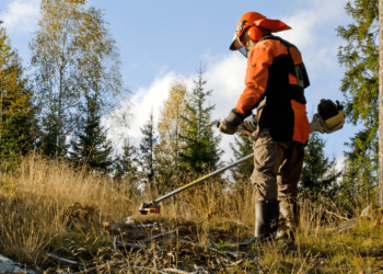 Prazo para limpeza de terrenos florestais termina no sábado