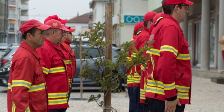 Direção dos Bombeiros Voluntários de Tábua vai a votos no próximo sábado