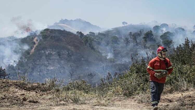 Alerta em nove distritos devido ao risco elevado de incêndio