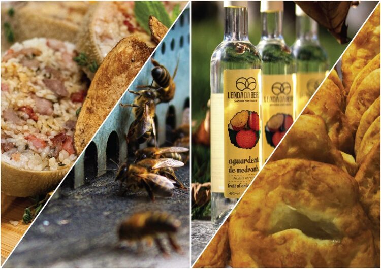 Pampilhosa da Serra: “Viagem aos sabores e saberes” na aldeia do Cabril