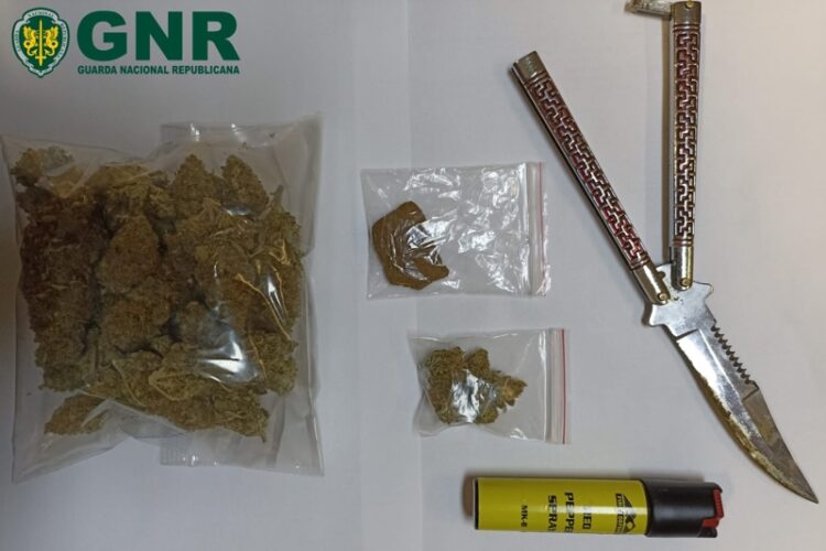 Jovem de 21 anos detido em Arganil por “tráfico de estupefacientes e posse de arma proibida”