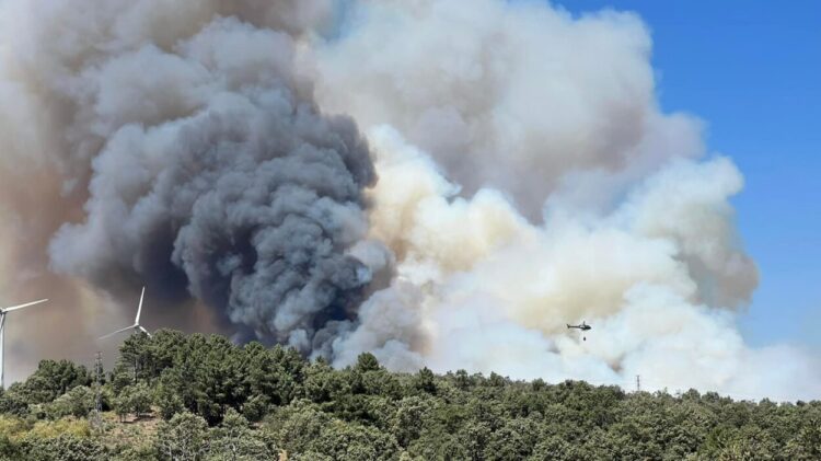 Guarda: Incêndio mobiliza mais de 150 bombeiros e seis meios aéreos