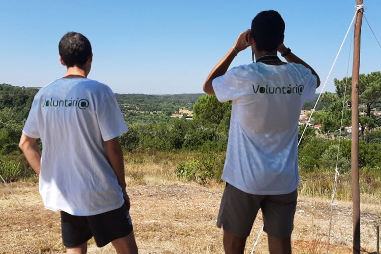 Abertas as inscrições para programa de  Voluntariado Jovem para a Natureza e Florestas em Seia