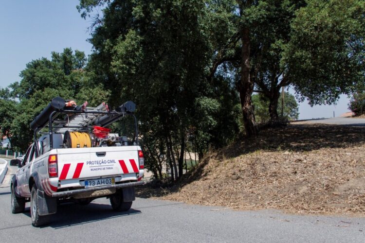 Tábua: Proteção Civil Municipal intervenciona quatro hectares de terrenos florestais