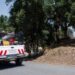 Tábua: Proteção Civil Municipal intervenciona quatro hectares de terrenos florestais