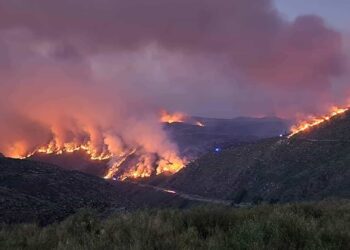 Mais de 620 bombeiros combatem fogo na Covilhã, EN338 continua cortada