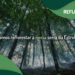 Estrela Geopark Mundial da UNESCO lança cartão para reflorestar a Serra da Estrela