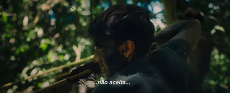 28ª edição do Cine Eco com 70 filmes em competição