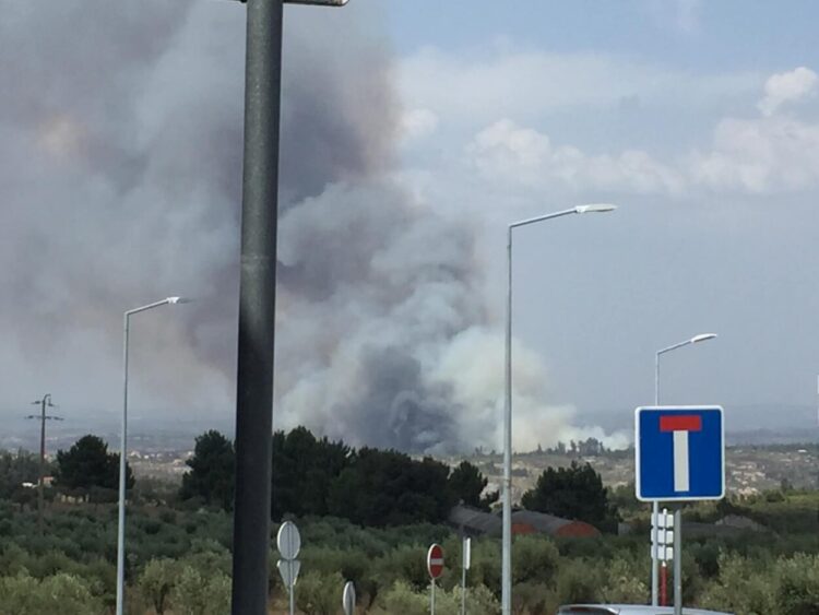 (Actualização 16:50) Incêndio em Meruge mobiliza já 238 bombeiros, 58 viaturas e seis meios aéreos.