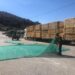 Guardiões da Serra da Estrela apoiaram mais de 5 mil animais com alimentação Guardiões da Serra da Estrela apoiaram mais de 5 mil animais com alimentação