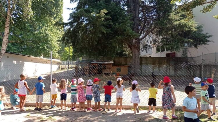 Mais de 70 crianças frequentaram as “Atividades de Verão” promovidas pelo Município de Oliveira do Hospital