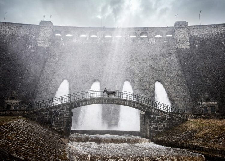 28º CineEco arranca em Seia sob o signo do cinema de emergência e de impacto