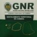 Coimbra: GNR recuperação ouro furtado