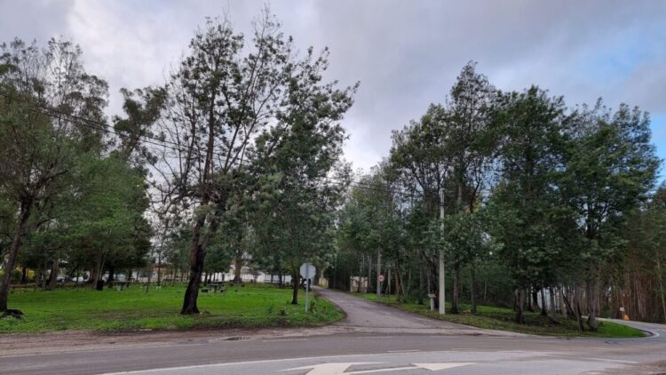 Tábua: Condomínios de Aldeia valorizam as localidades de Fontão e Senhor da Serra