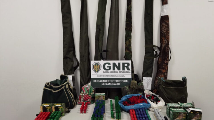 Sete homens detidos por caça em área protegida no distrito de Viseu