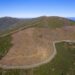 Primeiras árvores do projeto Floresta da Serra do Açor completam dois anos
