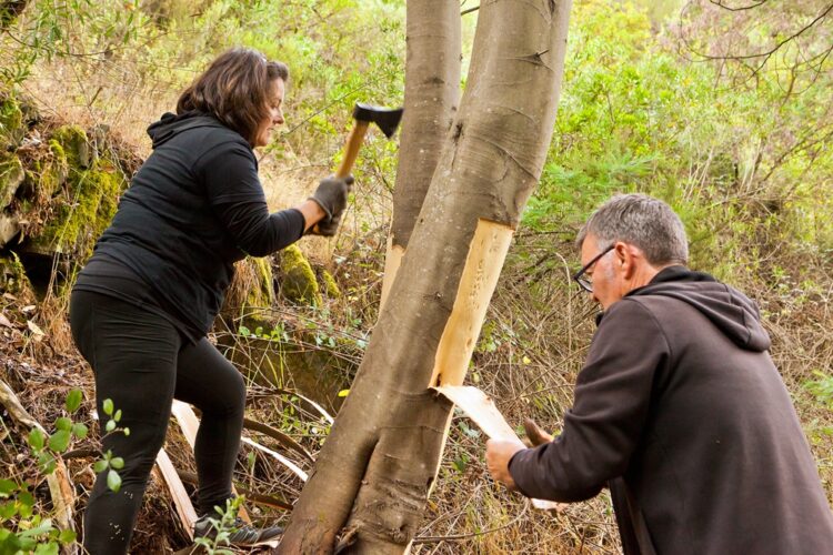 Brigadas deseucaliptizadoras encontram-se para fim de semana de ações no concelho de Gouveia
