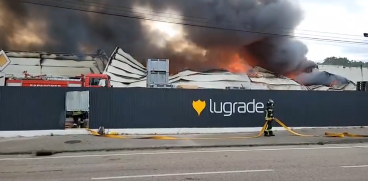 Coimbra: Fábrica de seca de bacalhau consumida pelas chamas