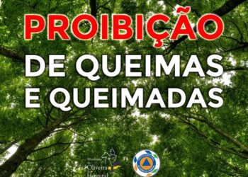 Município de Oliveira do Hospital proíbe realização de queimas e queimadas