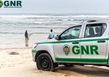 Figueira da Foz: Apreensão de 24 redes majoeiras ilegais