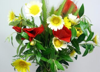 Hoje é Quinta feira da Espiga ou Quinta feira da Ascensão