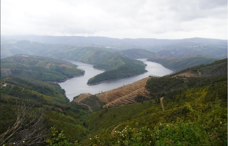 Pampilhosa da Serra promove ações de esclarecimento a proprietários de terrenos na AIGP da Travessa
