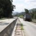 Falta de limpeza nas bermas do IP3 e Estrada Nacional 110 preocupa Câmara de Penacova
