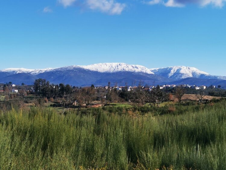 BLC3 lidera projeto dinamizador de “Áreas de Acolhimento Agrícola para Proteção aos Incêndios”