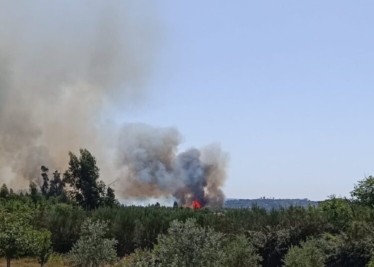 Incêndio em Lagares da Beira mobiliza seis meios aéreos