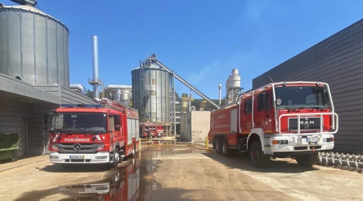 Arganil: Incêndio deflagra de novo na Empresa Pinewells