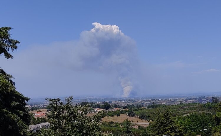 Incêndio em Nelas mobiliza cerca de 400 bombeiros e 13 meios aéreos