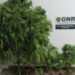 Gouveia: Homem detido por cultivo de canábis Gouveia: Homem detido por cultivo de canábis