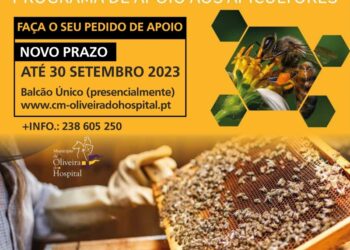 Programa de apoio aos apicultores com prazo alargado até 30 de setembro