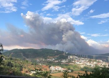Fogo em Coimbra continua ativo e está ser combatido por sete meios aéreos e mais de 500 bombeiros