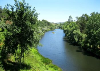 Caminhada Verde pelo Mondego realiza-se no dia 1 de outubro