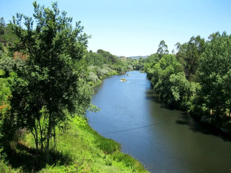 Caminhada Verde pelo Mondego realiza-se no dia 1 de outubro