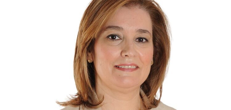 Seia: CineEco começa amanhã. “Traz um ambiente cosmopolita e notoriedade à cidade”