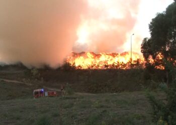 Incêndio em empresa de pellets em Arganil “vai demorar a ser resolvido”. Mobiliza 149 bombeiros e 57 viaturas