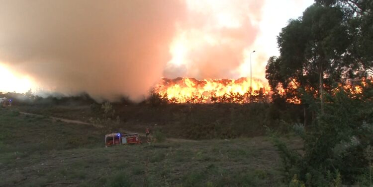 Incêndio em empresa de pellets em Arganil “vai demorar a ser resolvido”. Mobiliza 149 bombeiros e 57 viaturas