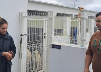 Centro de Recolha de Oliveira do Hospital com capacidade para 50 animais. Vai ser inaugurado a 27 de novembro