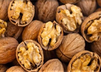 Feira de Santo André realiza-se no dia 1 de dezembro em Ervedal da Beira