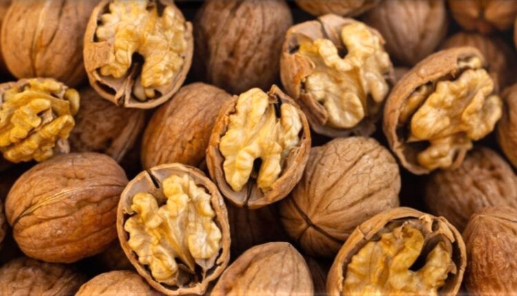 Feira de Santo André realiza-se no dia 1 de dezembro em Ervedal da Beira