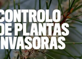 Movimento Estrela Viva promove  ação de controlo de plantas exóticas invasoras na Portela de Arão