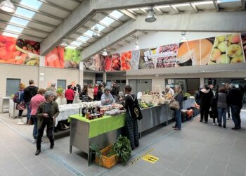 No Dia de S. Martinho há produtos biológicos e agrícolas na Mostra “Da Nossa Terra”