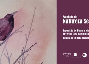 Góis inaugura exposição “Saudade da Natureza Selvagem | Longing for Welderness”