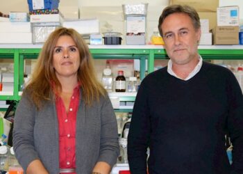 Cientistas da Universidade de Coimbra conquistam Prémio Pfizer 2023 por investigação sobre a doença de Parkinson