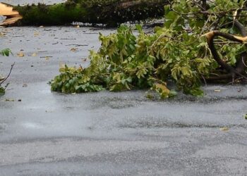 Mau tempo causou quase 200 ocorrências entre as 00h00 e as 07h00 no Norte e no Centro