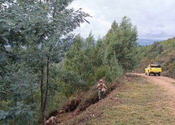 CIM Região de Coimbra inicia intervenções no território contra incêndios rurais