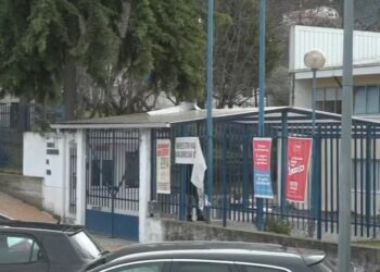 “Pode haver manifestações de alguma agressividade”: psicólogo realça  importância de apoio após morte de aluna na Secundária de Seia